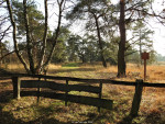 Beuningerveld